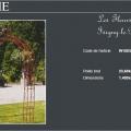 Arche 3