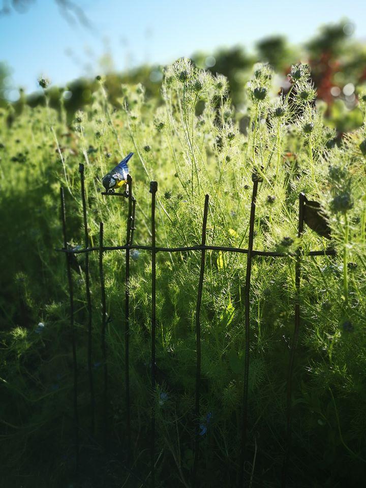 100101293 3558006157548719 9030228706173386752 o