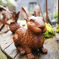 107442255 10158521044598256 4291647759795408246 o