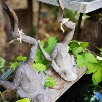 Img 20200628 164117 resized 20200628 052249365