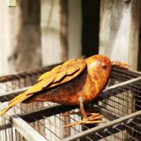 Img 20200628 164703 resized 20200628 050654292