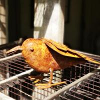 Img 20200628 164715 resized 20200628 050654564